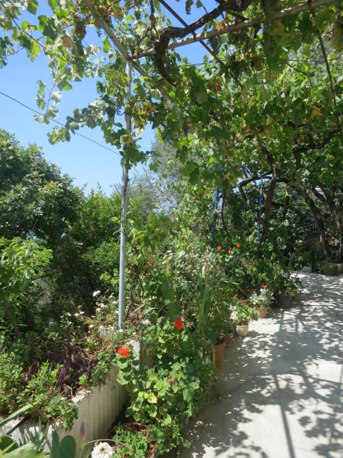 Апартаменты charming apartments in Rafailovici Будва-7